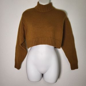 Aritzia Brown Cropped Turtleneck Sweater